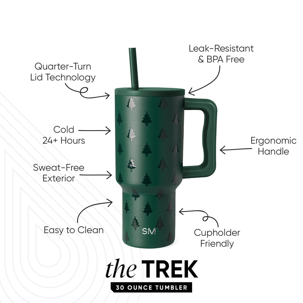 Simple Modern 30 fl oz Insulated Stainless Steel Trek Tumbler with Straw Lid | Seaglass Sage and Cream Checkmate