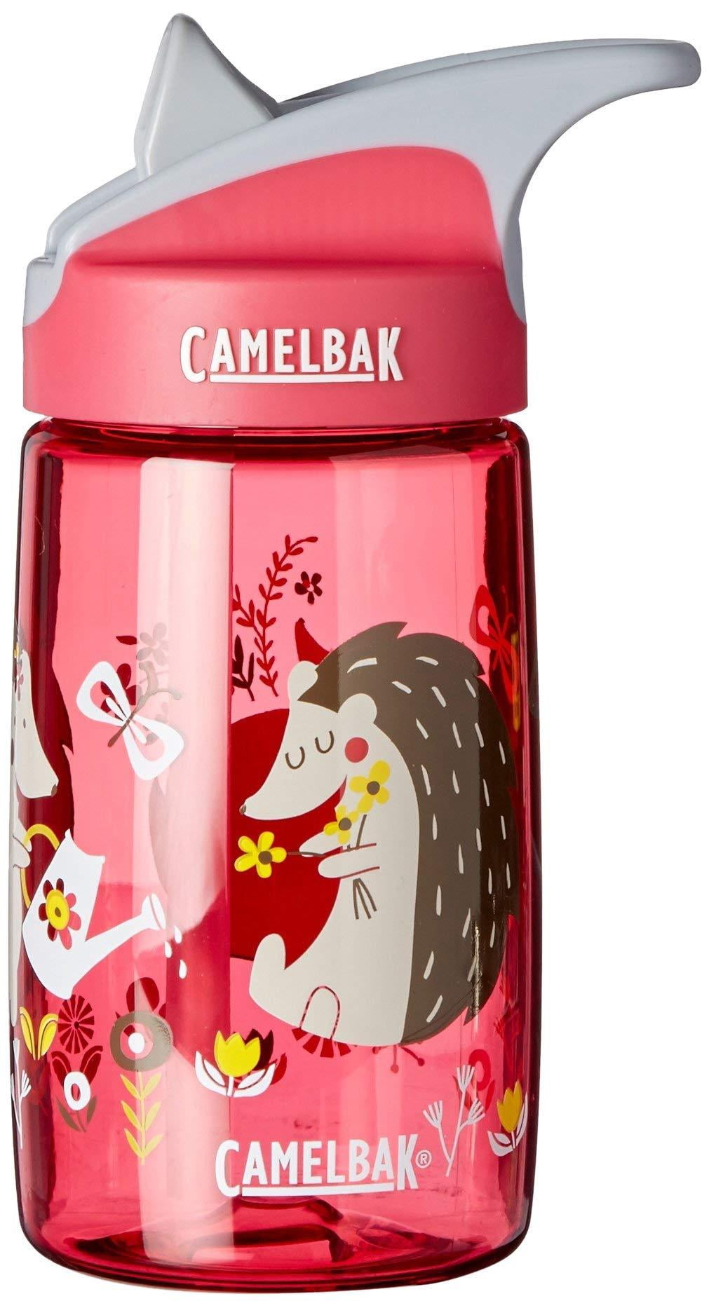 CamelBak Eddy Kids Water Bottle, Airplane Bandits.4 L