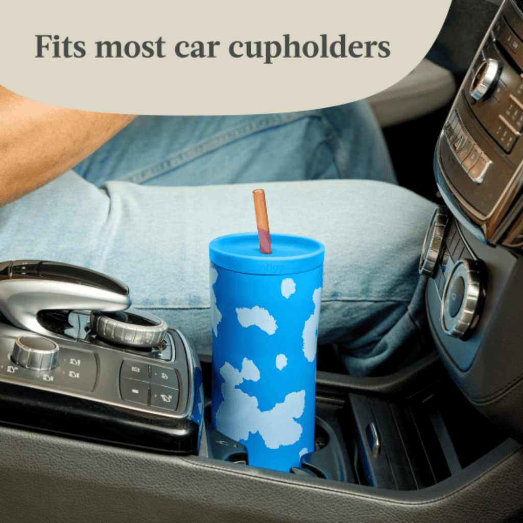 Contigo x Ally Love Streeterville 2.0 Stainless Steel Tumbler with Straw, 24 oz, Stellar Jay