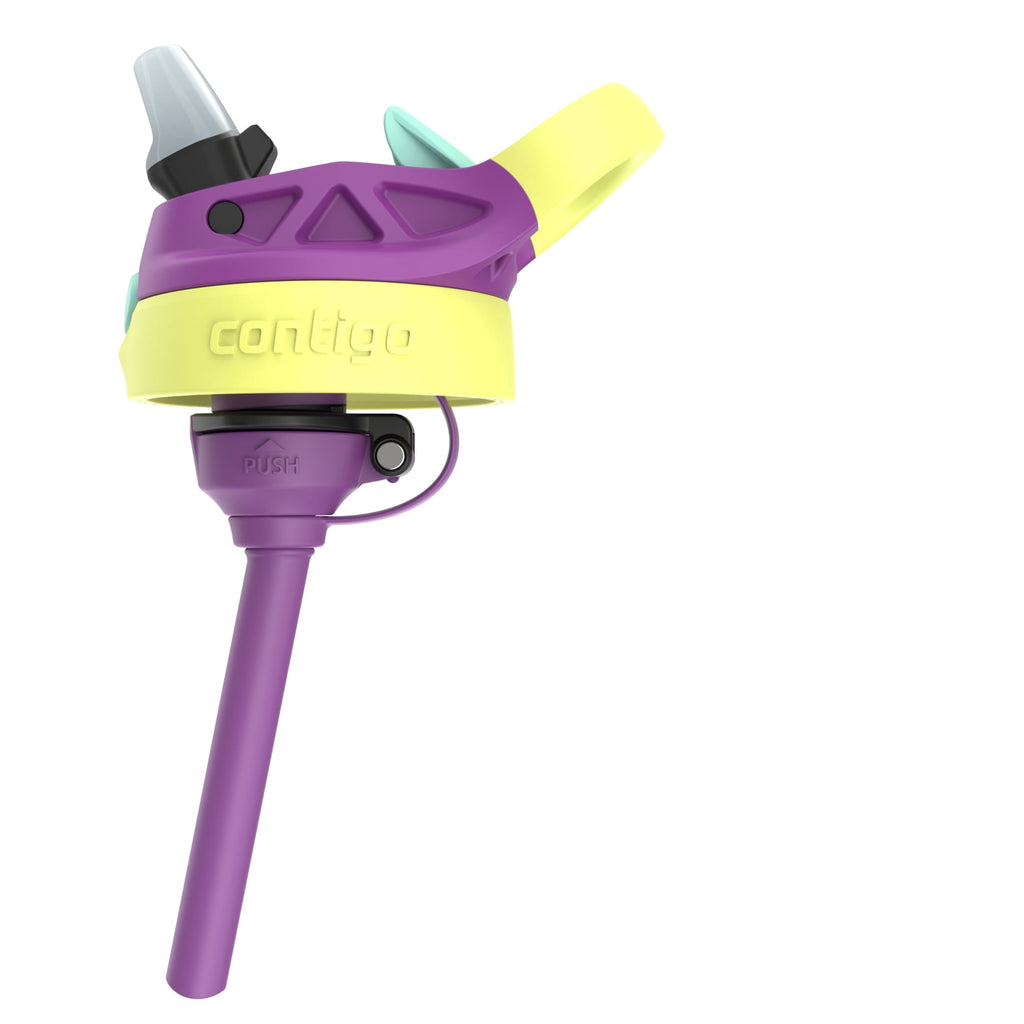 (4 pack) Contigo Kids Water Bottle with Redesigned AUTOSPOUT Straw, 14 oz, Grape Forest Haven