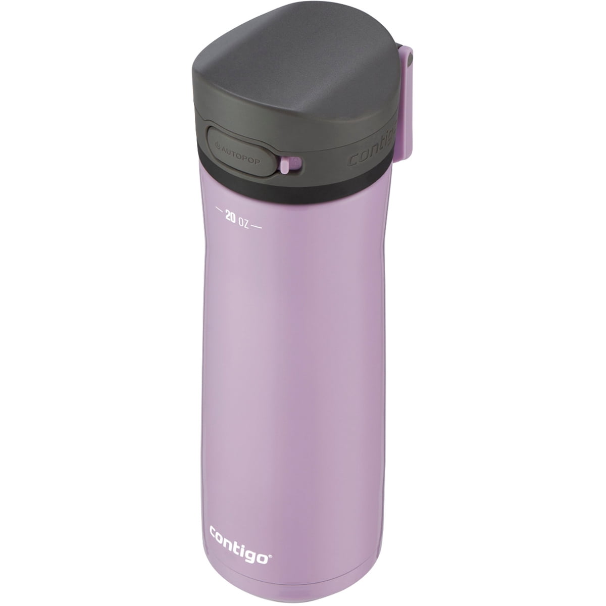 Contigo 20 oz. Jackson Chill 2.0 Water Bottle - Stainless Steel w/Licorice