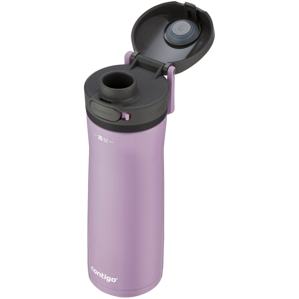Contigo 20 oz. Jackson Chill 2.0 Water Bottle - Stainless Steel w/Licorice