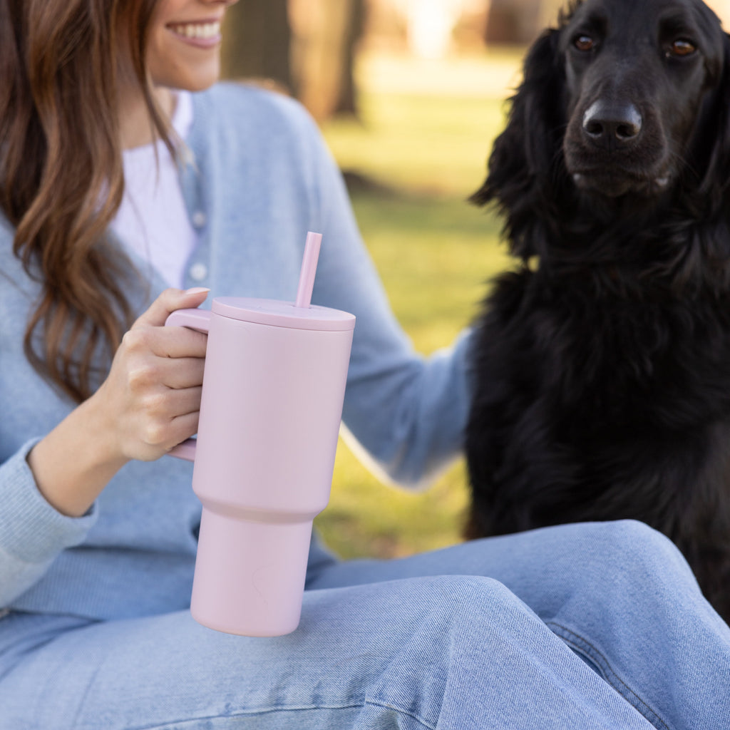 Simple Modern 30 fl oz Insulated Stainless Steel Trek Tumbler with Straw Lid | Seaglass Sage and Cream Checkmate