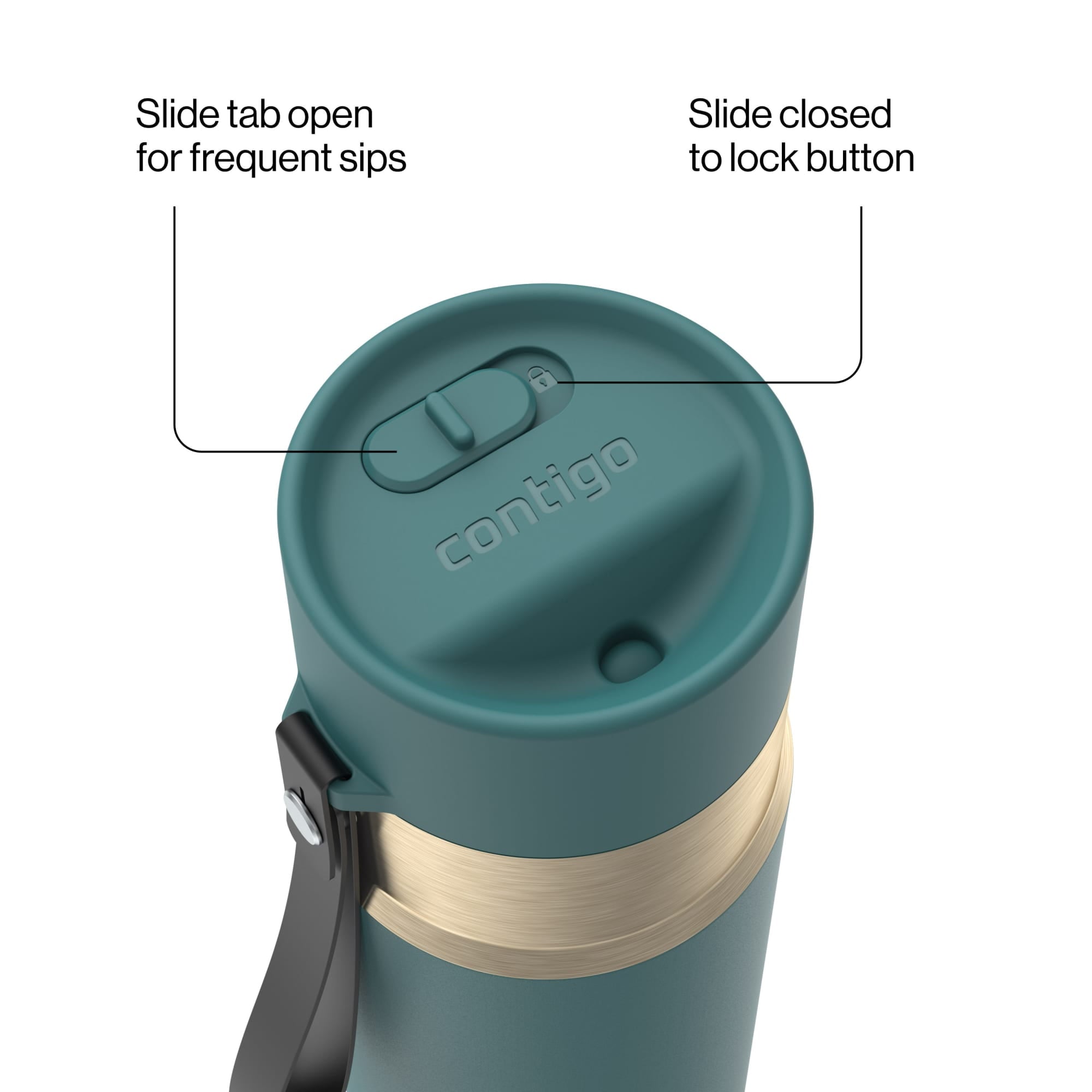 Contigo AutoSeal Leakproof Stainless Steel Reusable Water Bottle Tumbler with Carrying Strap, Cream/Champagne, 24 oz