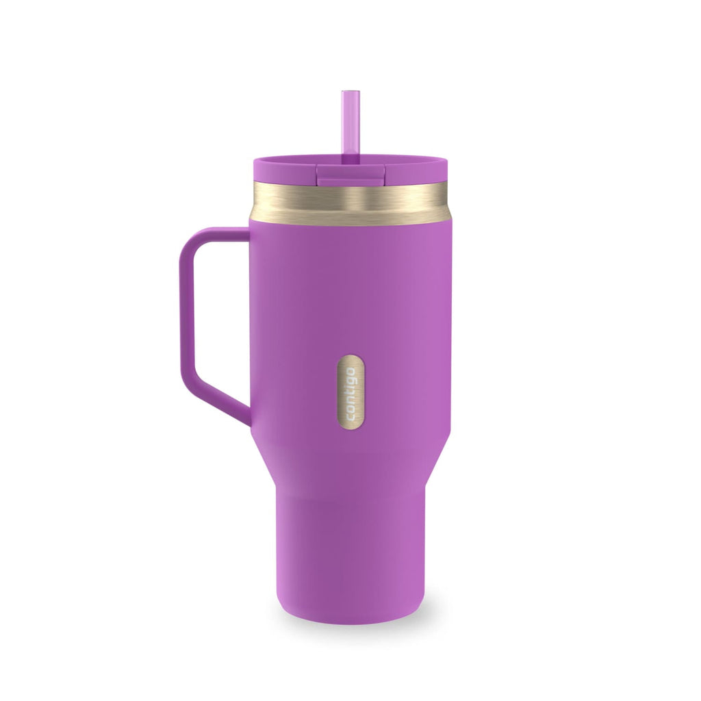 Contigo SnapSeal Leakproof Stainless Steel Reusable Water Bottle Tumbler with Side Handle, Black/Bronze, 30 oz