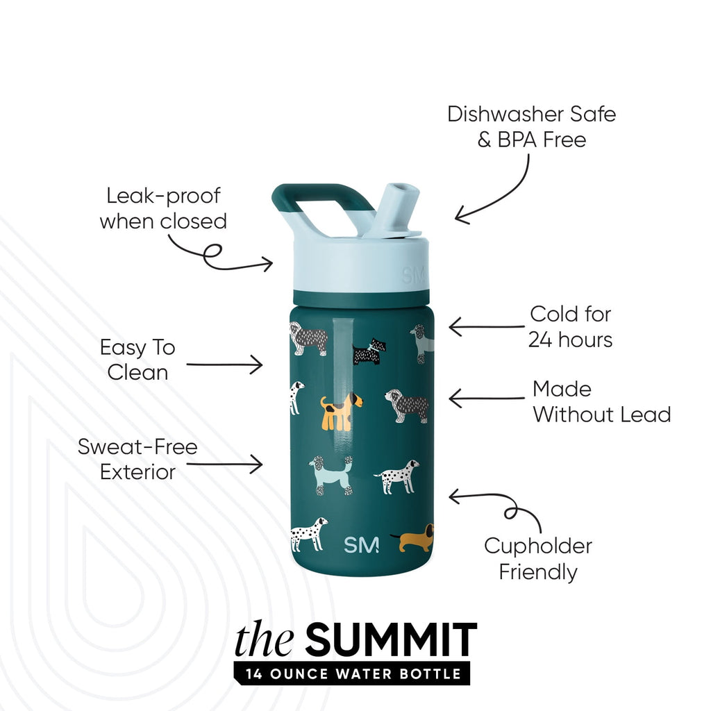 Simple Modern 14oz Summit Water Bottle with Straw Lid | Confetti