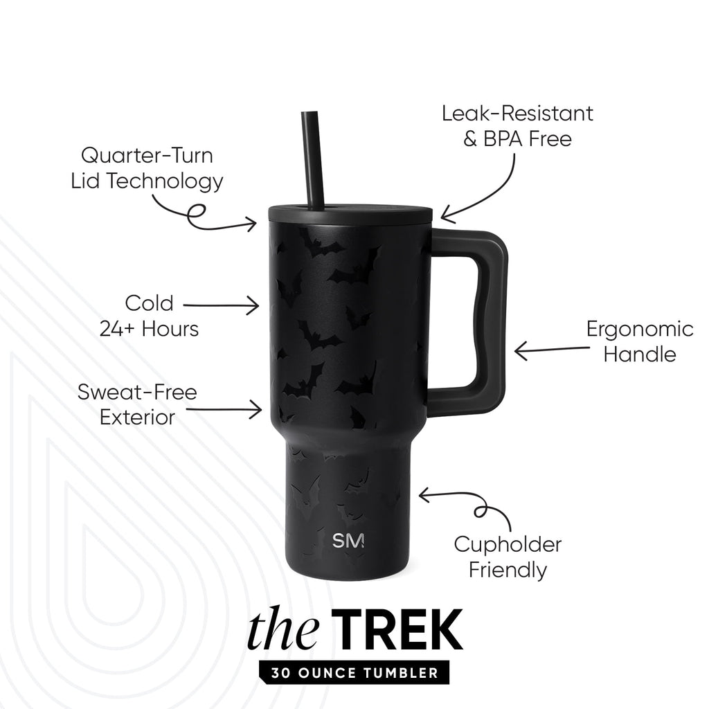 Simple Modern 30 fl oz Insulated Stainless Steel Trek Tumbler with Straw Lid | Seaglass Sage and Cream Checkmate